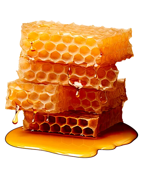 Натуральный мёд в сотах